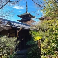 会場内から見える景色