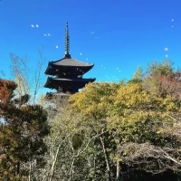 会場から見える景色