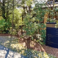 会場から会場までの道