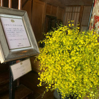 ロビーに綺麗な花