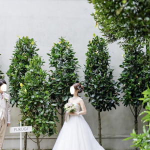 写真館|662503さんの白の教会/アールイズ・ウエディングの写真(2569336)