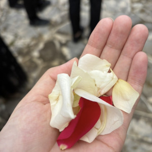 フラワーシャワー|662503さんのマリーグレイスの写真(2547194)