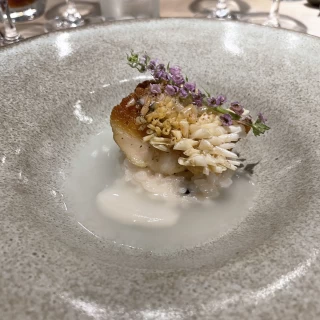 とても美味しかったリゾット。お魚の皮はパリパリで身はふっくら