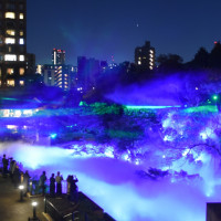 庭園
オーロラと雲海