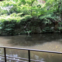 料亭からの景色