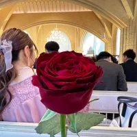 ローズセレモニー