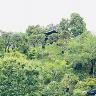 椿山荘庭園の様子