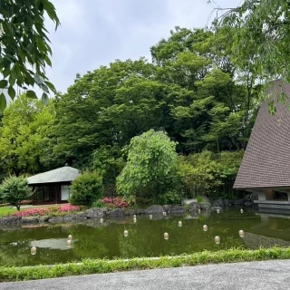 披露宴会場から見える池です。
雨でも素敵な雰囲気でした。