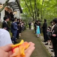 フラワーシャワー