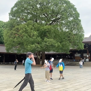 境内