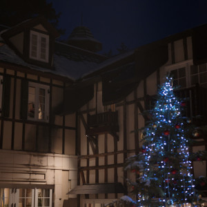 中庭クリスマスツリー|663866さんのオーベルジュ・ド・リル サッポロ （ひらまつウエディング）の写真(2043892)
