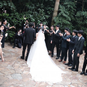 フラワーシャワー|663914さんのアルタビスタガーデンの写真(2564658)