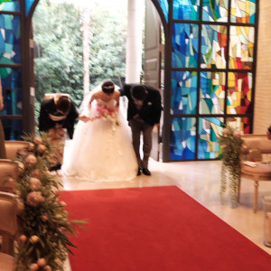 入場|663914さんのアルタビスタガーデンの写真(2564660)