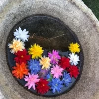 お花