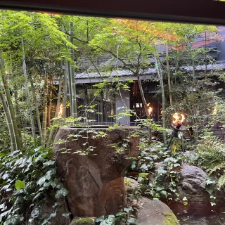 庭がとても素敵