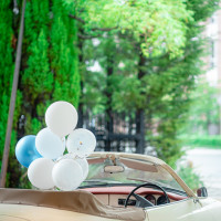 ウェルカムカー