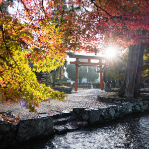鳥居と紅葉|664766さんの上賀茂神社の写真(1827141)