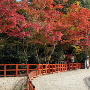 紅葉|664766さんの上賀茂神社の写真(1827144)