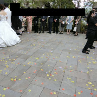 雨が止んだので庭でフラワーシャワー