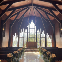 自然の光が綺麗