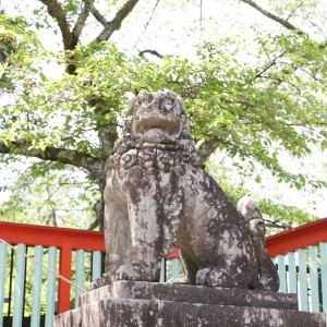 鳥居前の狛犬|664941さんの宮城県護国神社の写真(1829917)