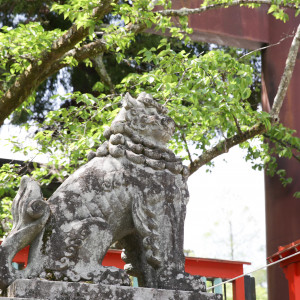 鳥居前の狛犬|664941さんの宮城県護国神社の写真(1829916)