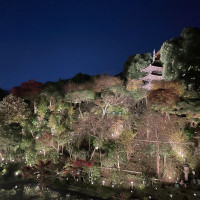 夜の庭園も素敵でした