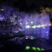 庭園
