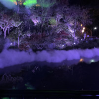 庭園。夜も雲海が見られました。