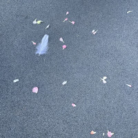 挙式後のフラワーシャワー