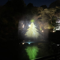 庭園