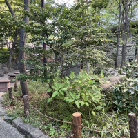 庭園