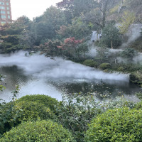 運が良いと雲海が見られます