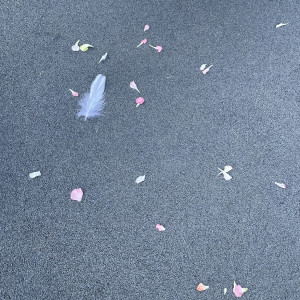 挙式後のフラワーシャワー|665003さんのホテル椿山荘東京の写真(2516165)