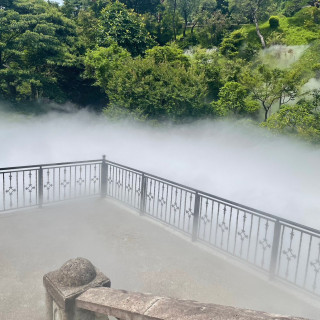 庭園 雲海