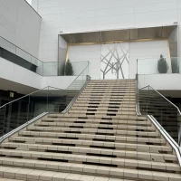 フラワーシャワー