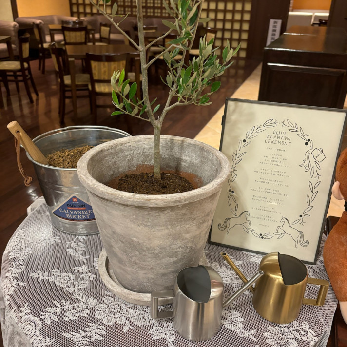 ケーキ入刀の代わりにオリーブセレモニーを行いました