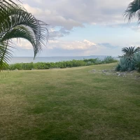 披露宴ガーデン