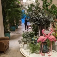 通路の先にプール付きのガーデンが見えます