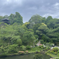 綺麗な庭園