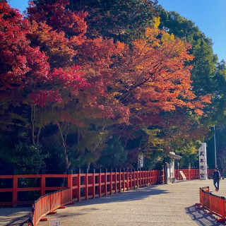 紅葉の参道