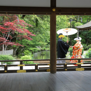 ロケーション撮影、絵になる風景が沢山|665651さんの上賀茂神社の写真(1833688)
