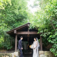 雨の日の庭園