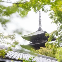 庭園から見える八坂の五重塔