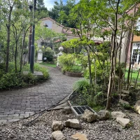 庭