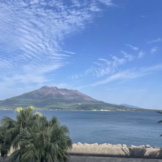 会場から一望できる桜島