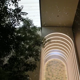 フラワーシャワーやケーキ入刀したお庭です。