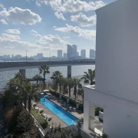 リゾート感のある庭