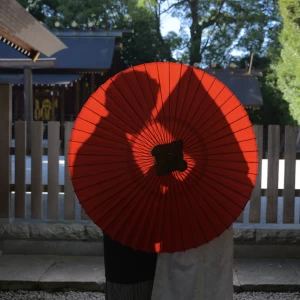 神宮|666453さんの阿佐ヶ谷神明宮の写真(1857937)