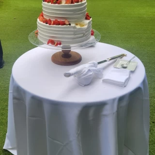 ケーキ入刀とファーストバイト後。裏から見るとこんな感じ。